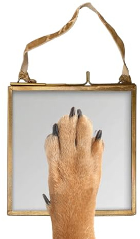 Nkmifeg Cadre Photo Commémoratif pour Chien et Chat | Souvenir pour Chat - Décorations De Noël pour Cadre Photo Chien | pour Mur, Étagère, Table, Cartables, Dates Spéciales et Appartement Funéraire