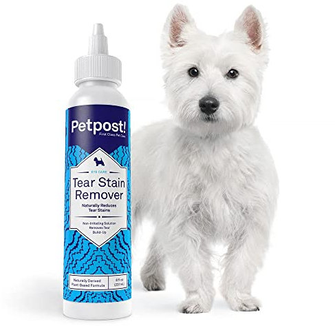 Petpost | Tear Stain Remover for Dogs - Best Natural Eye Treatment for White Fur - Soothing Coconut Oil - Maltese, Shih Tzu, Chihuahua Angels Approved - Chemical and Bleach Free 237 ml