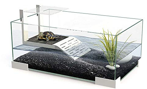 CIANO : Aquarium Tortue : Verre, 17,3l
