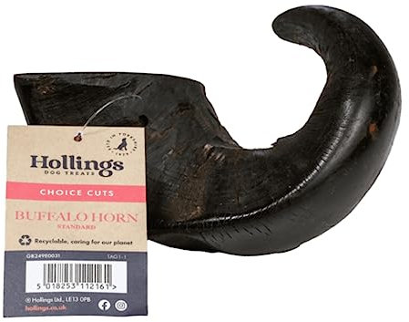 Hollings Buffalo Horn Standard Dog Treat, 100% Natural Grain Free Chew Treat for Adult Dogs, High in Protein and Naturally Low in Fat (1 Pack)