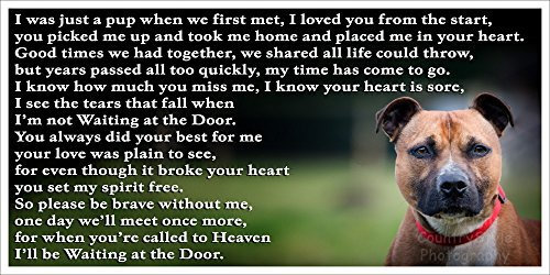 Staffordshire Bull Terrier Staffy sympathy bereavement pet dog loss Flexible Fridge Magnet Memorial - Waiting at the Door