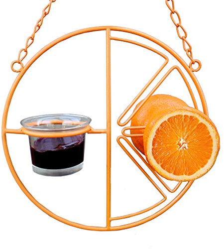 Heath Outdoor Products CF-133 Clementine Oriole Feeder , orange