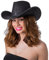 Wicked Costumes Chapeau de cowboy Texan pour adulte - Accessoire de fête (Noir)
