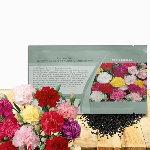 Outsidepride Chabaud Mix Carnation Seeds - 1000 Pcs Perennial, Easy to Grow Flower Seeds for Planting with Fragrant Blooms, Ideal for Pollinators, Cutting Gardens, Bouquets, & Floral Arrangements