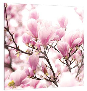 Klebefieber Glasbild Magnolie B x H: 50cm x 50cm