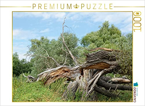 CALVENDO Puzzle Alte Weide vom Sturm zerbrochen | 1000 Teile Lege-Größe 64 x 48 cm Foto-Puzzle für glückliche Stunden