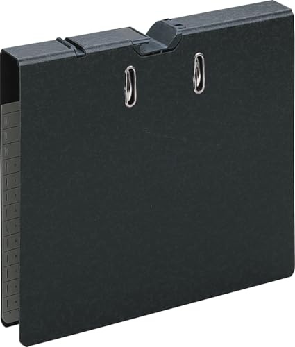 Leitz 20220000 Pendelordner, Schwarz (180Grad, A4, 5cm )
