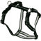 Feltmann Hundegeschirr - Soft-Nylonband, schwarz Streifen, Bauchumfang 55-75 cm, 20 mm Bandbreite