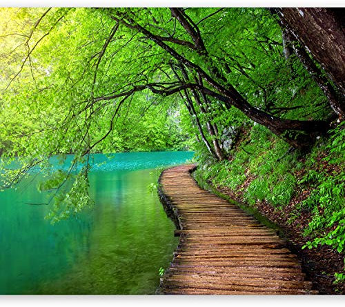 Wallpaper - Wall Mural 350x256 cm Non-Woven Premium Art Print Fleece Wall Mural Decoration Poster Picture Design Modern Flower Floral Nature Landscape Nature Bridge c-A-0073-a-b