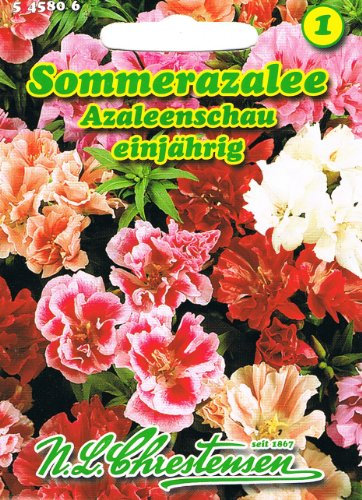 Sommerazalee Azaleenschau Godetia grandiflora Azalee