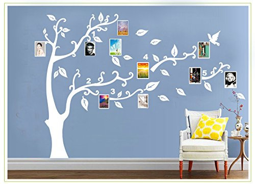 Deco-idea Wandtattoo wandaufkleber wandsticker Baum Zweige Bilderrahmen Vogel 40 Farben zur Wahl wbm23(061 grün, Grosse2:Baum 120cm x90cm (Hoch))