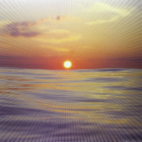 VINYL THRILL 343