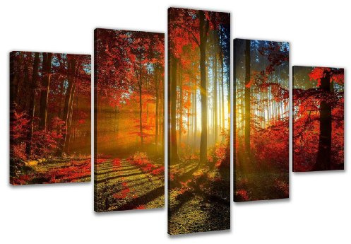 Visario Leinwandbild Herbstwald 5-teilig 160x80 cm 5530 – Wandbild rote Bäume mit Sonnenstrahlen im Herbstwald, Natur, XXL Kunstdruck auf Leinwand mit Holzrahmen, Wanddeko Wohnzimmer
