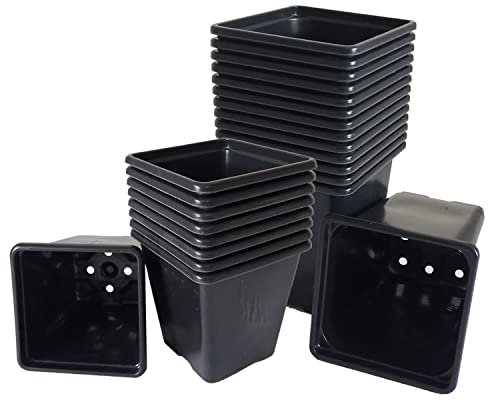 Elixir Gardens Square Black Recycled Plastic Plant Pots 0.25ltr | 7cm x 7cm x 7cm | 100