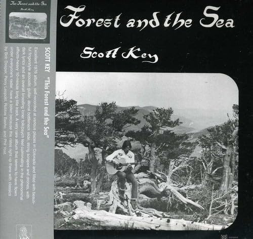 This Forest & The Sea
