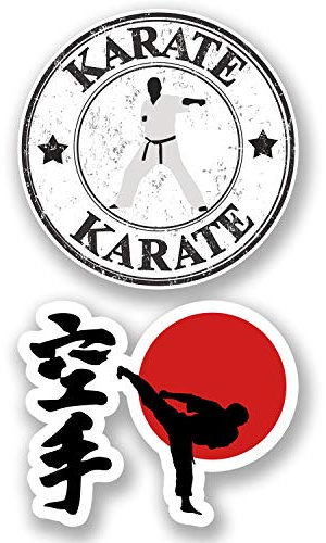 2 x Karate Vinyl Stickers Bike Laptop Car Martial Arts Japanese Decal #4822 (10cm Wide.)