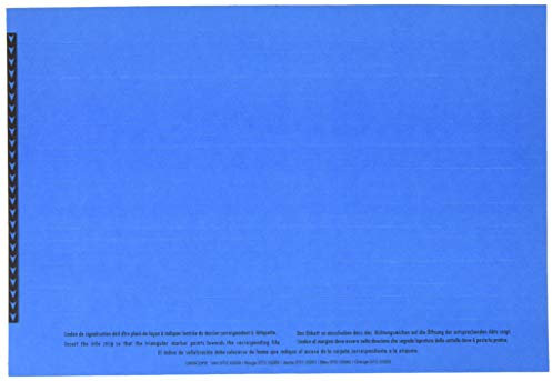 Esselte 326200 Orgarex Einsteckschilder für Hängeregister, Blau, 250 Stück