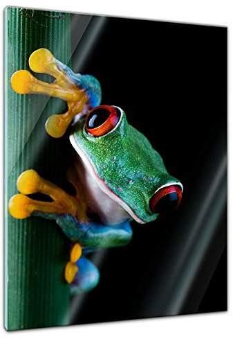 Bilderdepot24 Glasbild - Laubfrosch - 60 x 80 cm - Deko Glas - Wandbild aus Glas - Bild auf Glas - moderne Glasbilder - Glasfoto - Echtglas - kein Acryl - Handmade