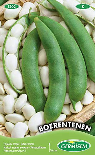 Germisem Boerentenen Graines de Haricot à Rames 100 g EC1202 Multicolore