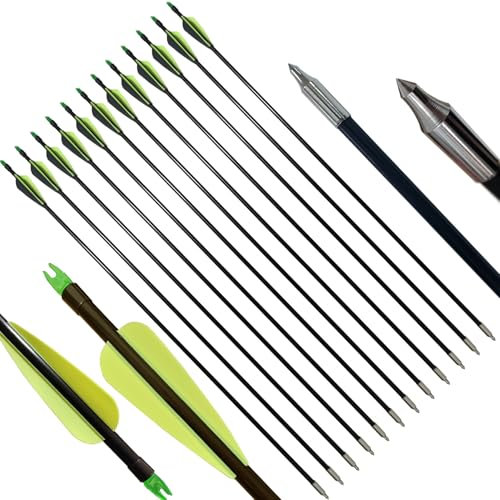 biubiusot 31 Zoll Pfeile für Bogenschießen Erwachsene Fiberglaspfeile Jagdpfeile Bogen Pfeile für Recurvebogen Compoundbogen Langbogen 12 Stück