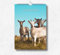 Goat Calendar 2025: Monthly Wall Calendar with Notes, Hanging A4 Size, Includes key dates & holidays