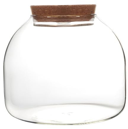 Neroyaner Terrario de Vidrio para Plantas terrario para Plantas de 1600 ml con Tapa de Corcho Frasco de de Gran Apertura para Mini suculentas creación de paisajes y exhibiciones Florales