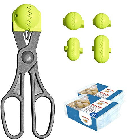 La Croquetera Multiusos Color Pistacho-4 moldes Intercambiables para masas + Pack conservación-100% español : Patentado y Fabricado en España, 1 utensilio + 40 bandejas