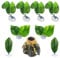 Cayway 9 PCS Hamac Feuille de Lit Betta pour Poisson Betta Betta Fish Leaf Bed, Aquarium Volcan Ornement for Betta Habitat Breeding Resting Aquarium Decoration
