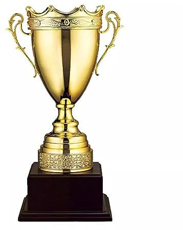 QXSJEDYCH Trophies Oversized Champion Trophy Gold, Silver and Bronze Trophy for Basketball, Soccer, World Cup, Campus Games, Reward Gifts. trophy(Gold)