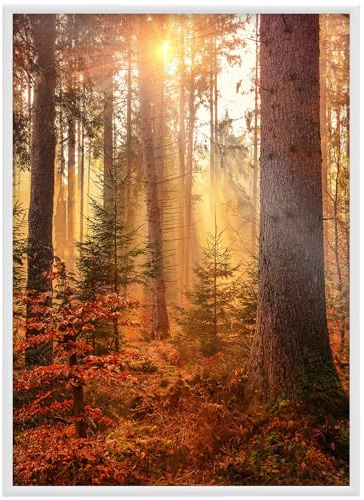 RAWWEST.BIS Alu Bilderrahmen 70x100 cm mit schnellem Montage-System Plakatrahmen, Alurahmen mit Acrylglas Rahmen aus Aluminium für Bilder Poster Fotos Posterrahmen Fotorahmen, Weiß