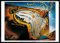 1art1 Salvador Dali Poster Kunstdruck Bild und Kunststoff-Rahmen - Die Weichen Uhren (70 x 50cm)
