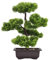 AIVORIUY Bonsaï Artificiel en Pot Faux Plantes Décoration Maison Vert Japonais Pin Bonsaï Arbre ​pour La Décor de la Bureau Jardin des Fées Zen Affichage Cour Intérieure Affichage de Bureau
