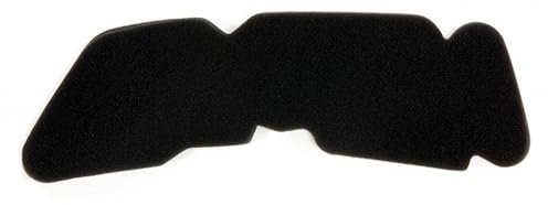 Filtro Aria Sifam Scooter Piaggio 50 Liberty 2T 2004-2006
