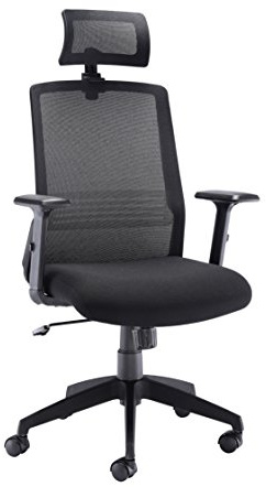 Office Hippo High Back Office Chair with Arms, Mesh Office Chair for Home, Lumbar Support and Adjustable Arms, Swivel, Fabric, Black
