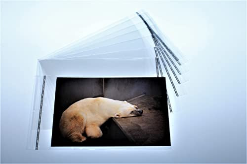 1000 St. Schutzhüllen Prospekthüllen Klarsichthüllen in Fotoformat 9 x 13 cm, glasklar, verschließbar mit 30 mm Klappe und Adhäsionsverschluss 93 x 127 mm