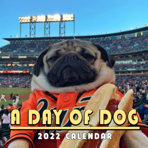 A Day Of Dog 2022 Calendar: Funny Daily 12 Months Small Calendar Jan 2022 To Dec 2022