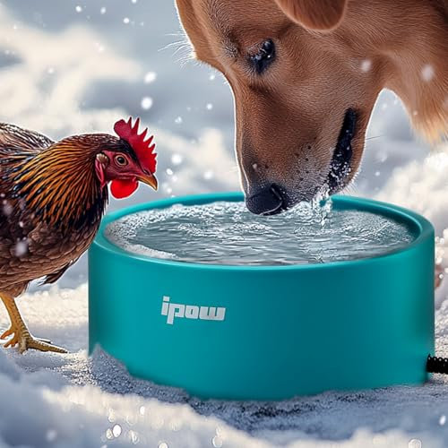 IPOW Gamelle chauffante pour animal de compagnie – Garde l'eau chaude pour vos amis à fourrure, gamelle chauffante d'extérieur sûre et durable, parfaite par temps froid, antidérapante et