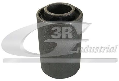 3RG 50600 Aussetzung, Schwenkarm