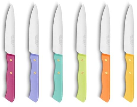 SABATIER – 6er-Set Fleischmesser Serie 197 – 10 cm – Klinge aus rostfreiem Stahl und Messingnieten – Perfekt zum präzisen Schneiden von gekochtem und gebratenem Fleisch.