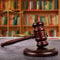 Juego de martillo de subastas de madera, martillo de juez y bloque de resonancia, gavel de madera premium, perfecto para abogados, jueces, ventas de subasta reuniones, empresas, estudiantes, juegos de