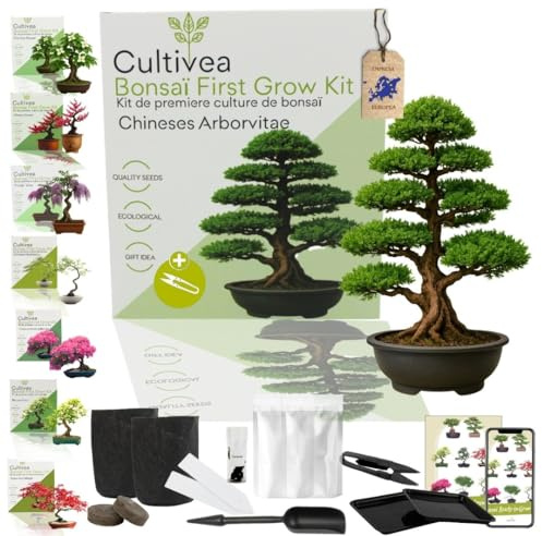 CULTIVEA Bonsai-Set First Bonsai Pflanzfertig – Gärtnern & Dekorieren – Natürliche Bonsai-Anzucht für Innen & Außen – Verschiedene Sorten, Samen, Erde & Zubehör (Chineses Arborvitae)