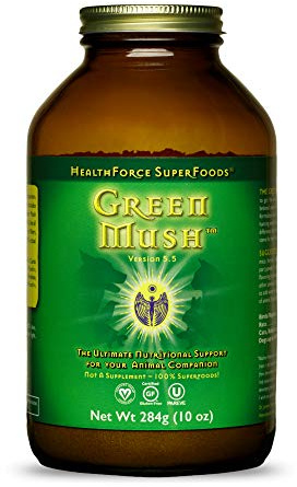 HealthForce Nutritionals Green Mush Version 4.0 Powder