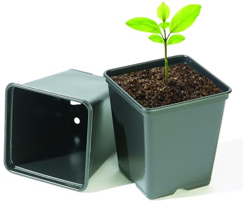 Bosmere Replacement Vegetable Pots, 9cm Square, Pack of 18, N326, Black