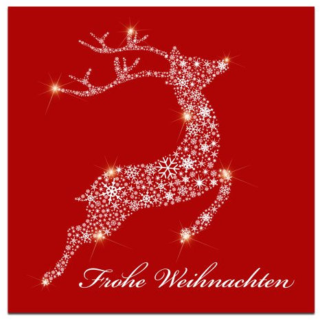 10er Pack Geschenkkarten Frohe Weihnachten Rentier Weihnachtskarten ohne Umschläge Geschenkanhänger Anhänger Anhängerkarte Klappkarte