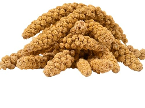 Lyra Pet® 1 kg Millet Jaune en grappes, perruches & canaris