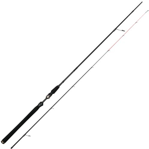 Westin Raubfischrute zum Barschangeln & Zanderangeln mit Softbaits 248cm M 7-28g W3 Finesse Jig 2nd