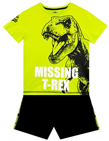 Jurassic World Jungen T-Shirt und Shorts Set Dinosaurier Outfit-Set für Kinder Mehrfarbig 152