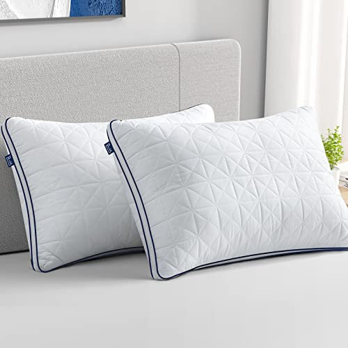 BedStory Kissen zum Schlafen, Standardkissen, 2er-Set, kühlende Kissen mit Netz-Design, hochwertige, weiche Daunen-Alternativfüllung, stützend für Rücken-, Bauch- oder Seitenschläfer