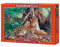 Castorland C-300280-2 - Puzzle Hoselton: Jaguare im Dschungel 3000 Teile