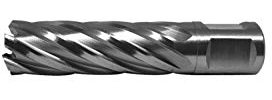 PAULIMOT HSS-Kernbohrer mit Bohrtiefe 55 mm, Ø 20 mm